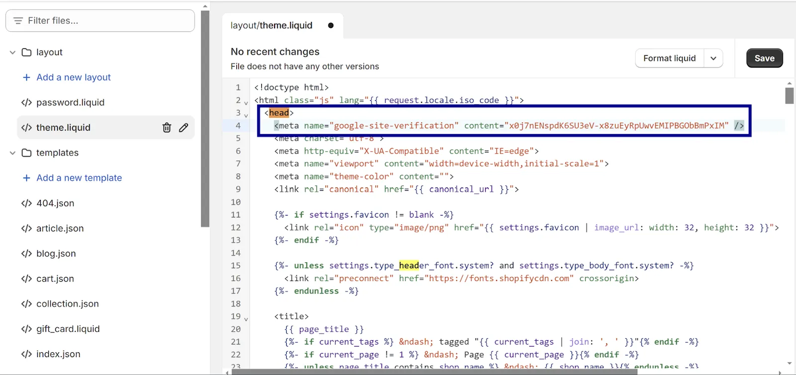 Paste the copied meta tag